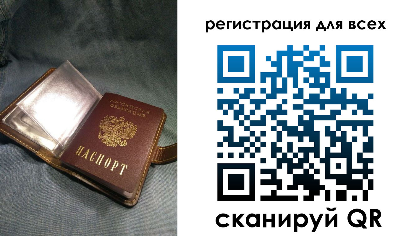 прописка гарантия в Кингисеппе