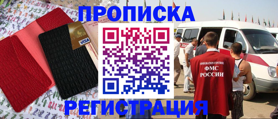регистрация в Кингисеппе